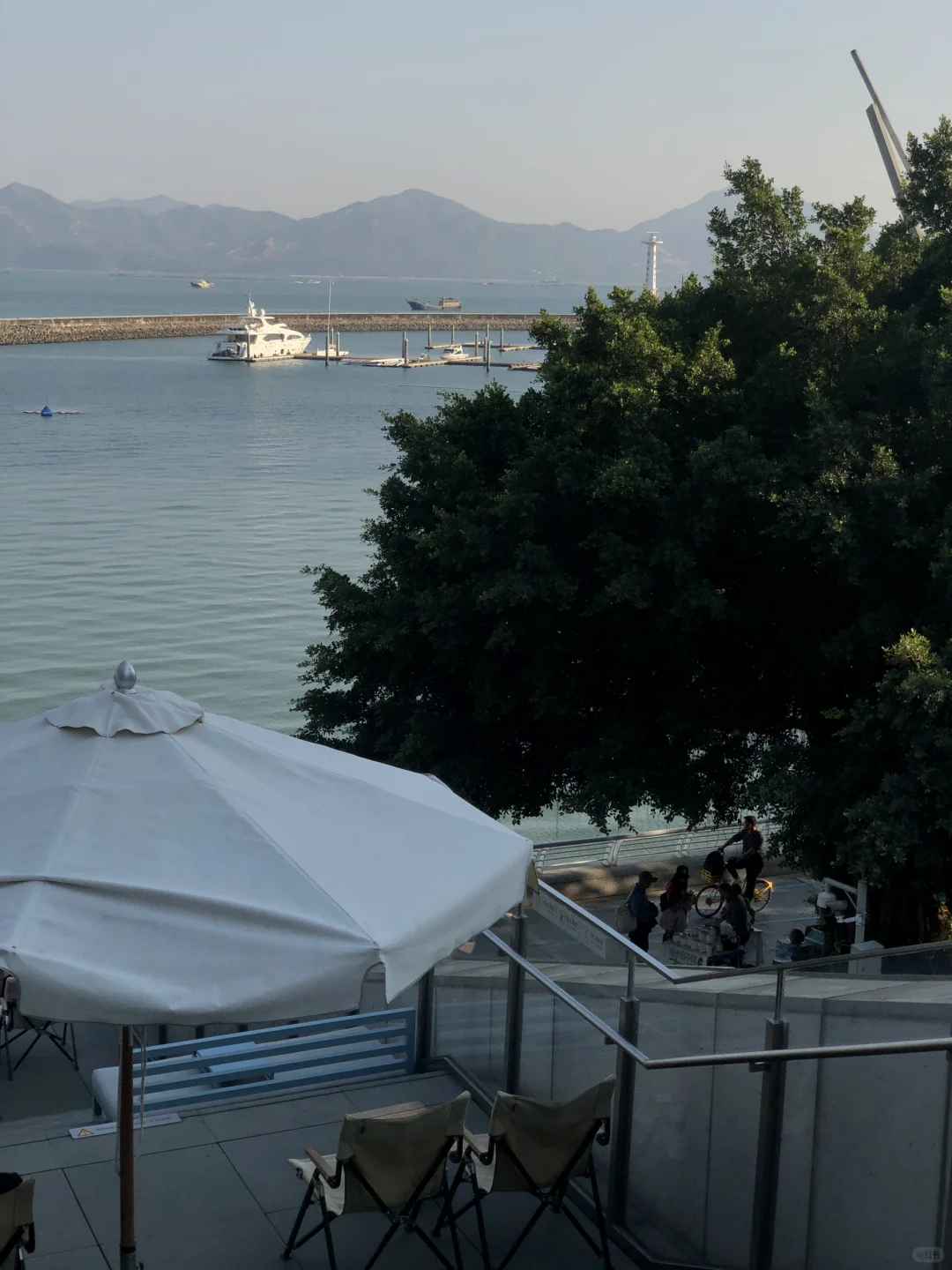 深圳满足了我对大都市一直以来的幻想