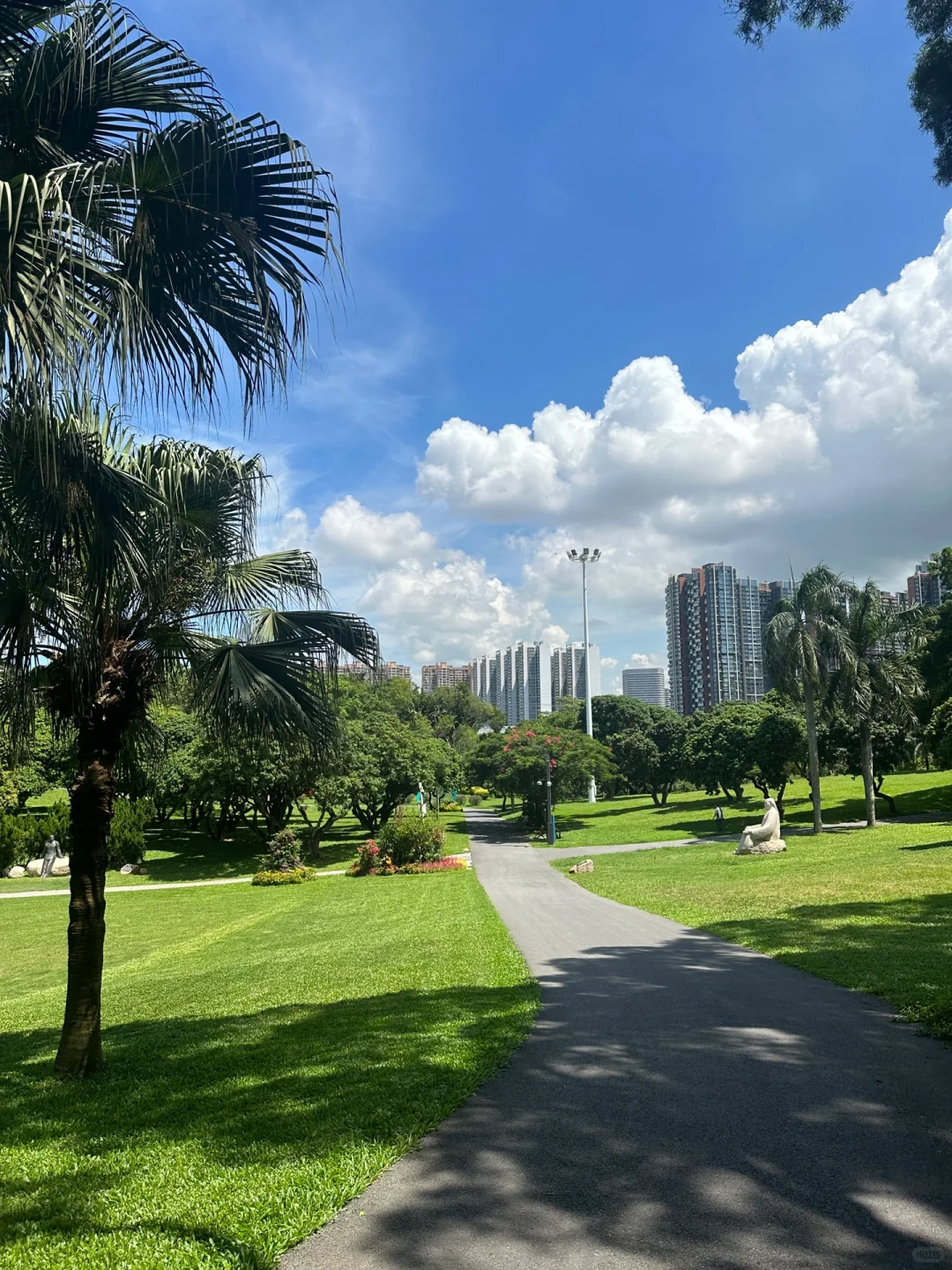 谁懂！真的好爱大深圳的晴天☀️