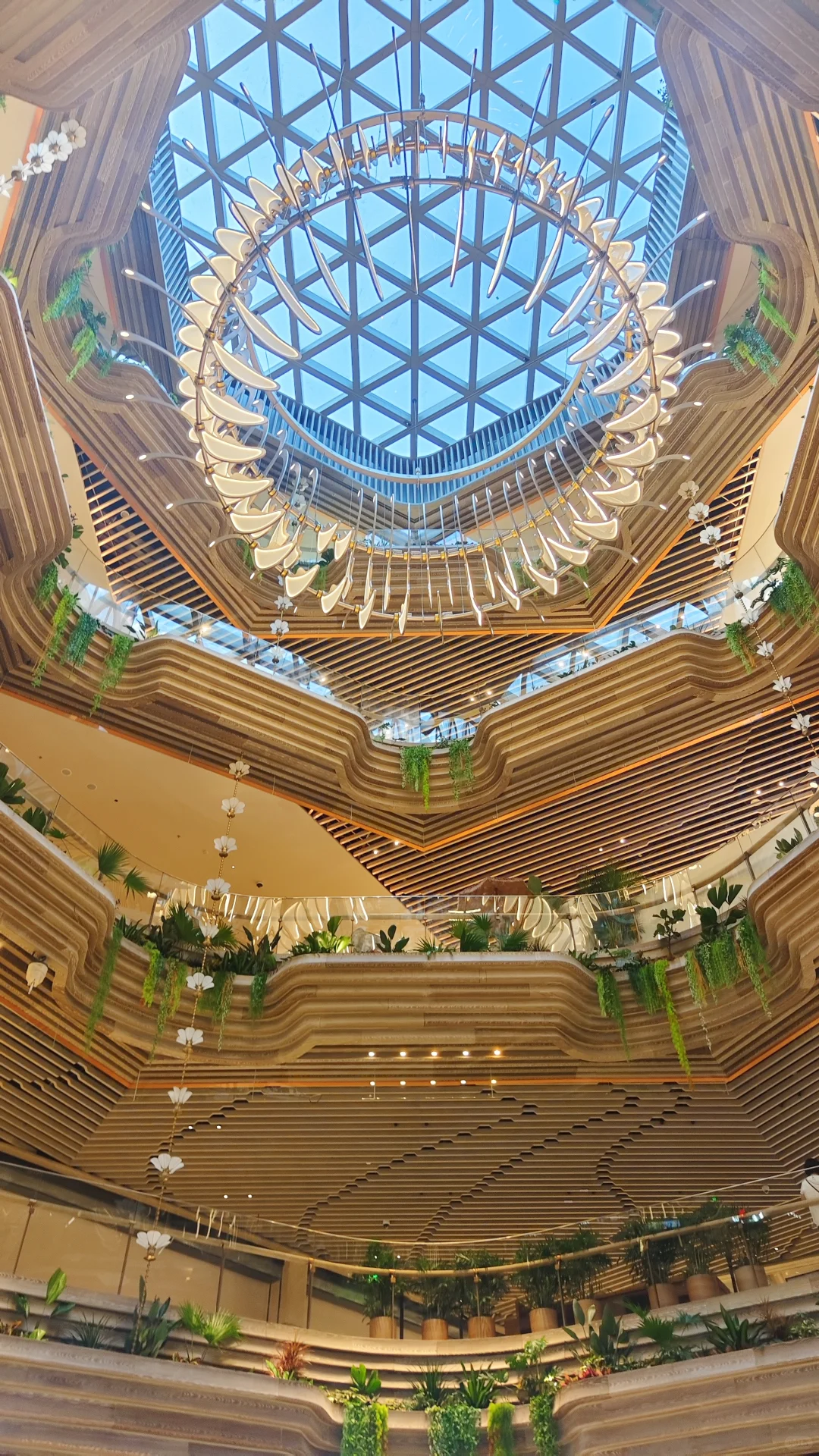 深圳白天和夜晚各种拍照出片点！！！