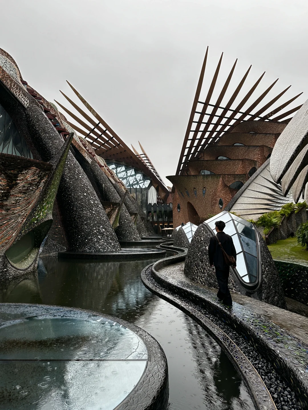 在深圳拍到的18张人生照片📸附地址！