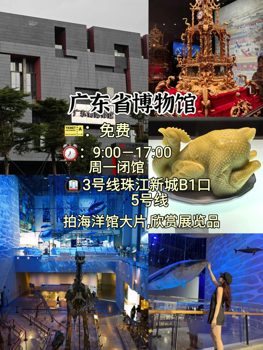 广州必去的十大景点旅游打卡攻略❗❗