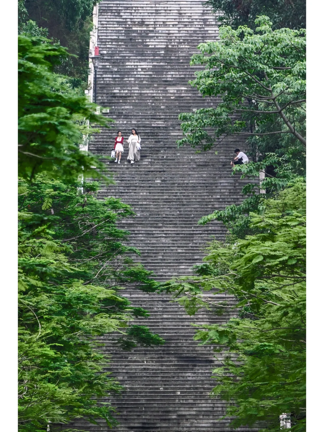 是谁允许深圳一个普通公园竟然这么美的….