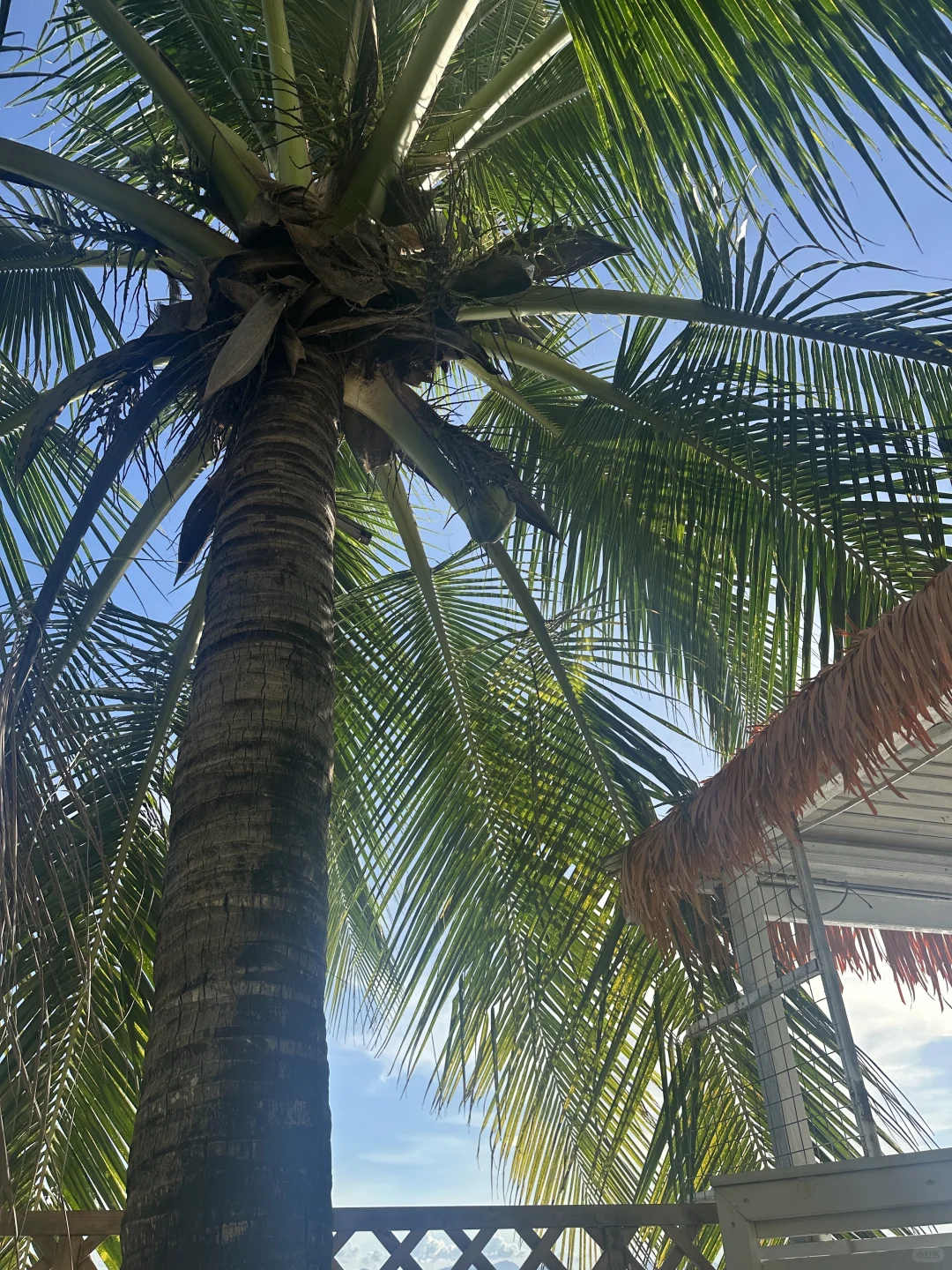 深圳意大利（自驾版）🩵