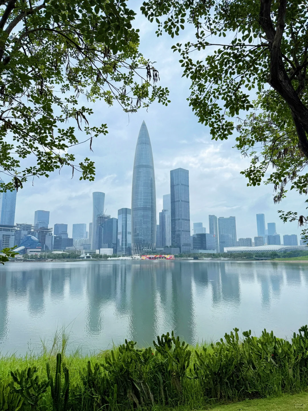 强烈推荐你去深圳湾公园沿海骑行‼️