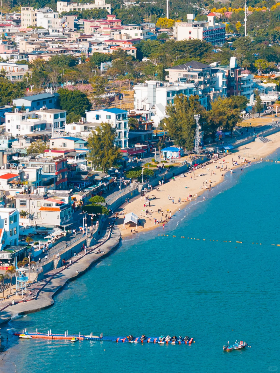 人生建议去深圳看一次海