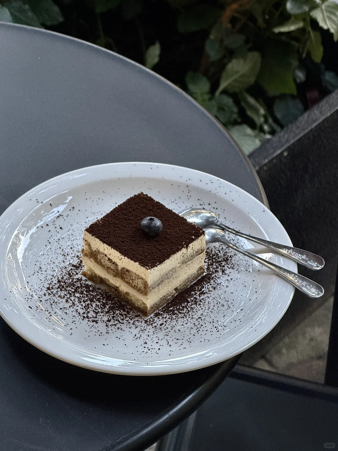 101斑点狗出逃日记/东莞咖啡简餐☕️