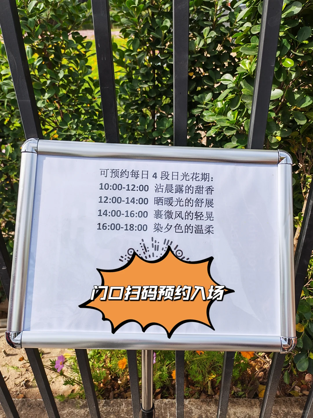 深圳最新打卡地🧡需预约、附攻略