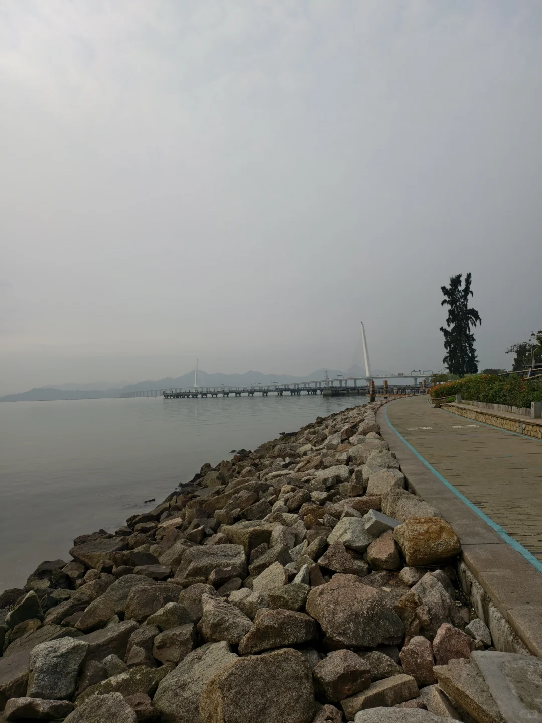 一城一跑！打卡深圳跑步的天花板！