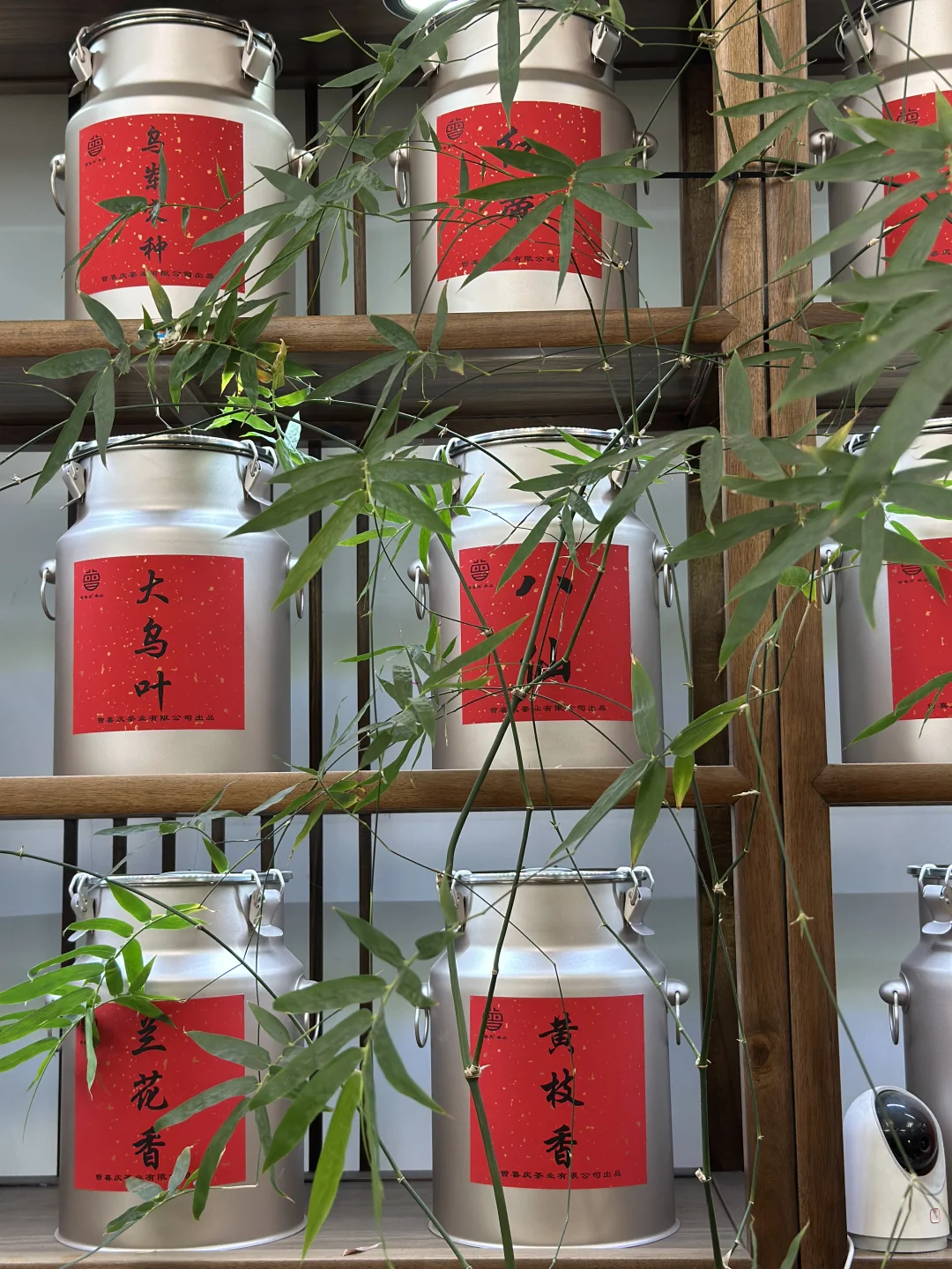 广州这家茶铺赏花喝茶还能追茶园源头