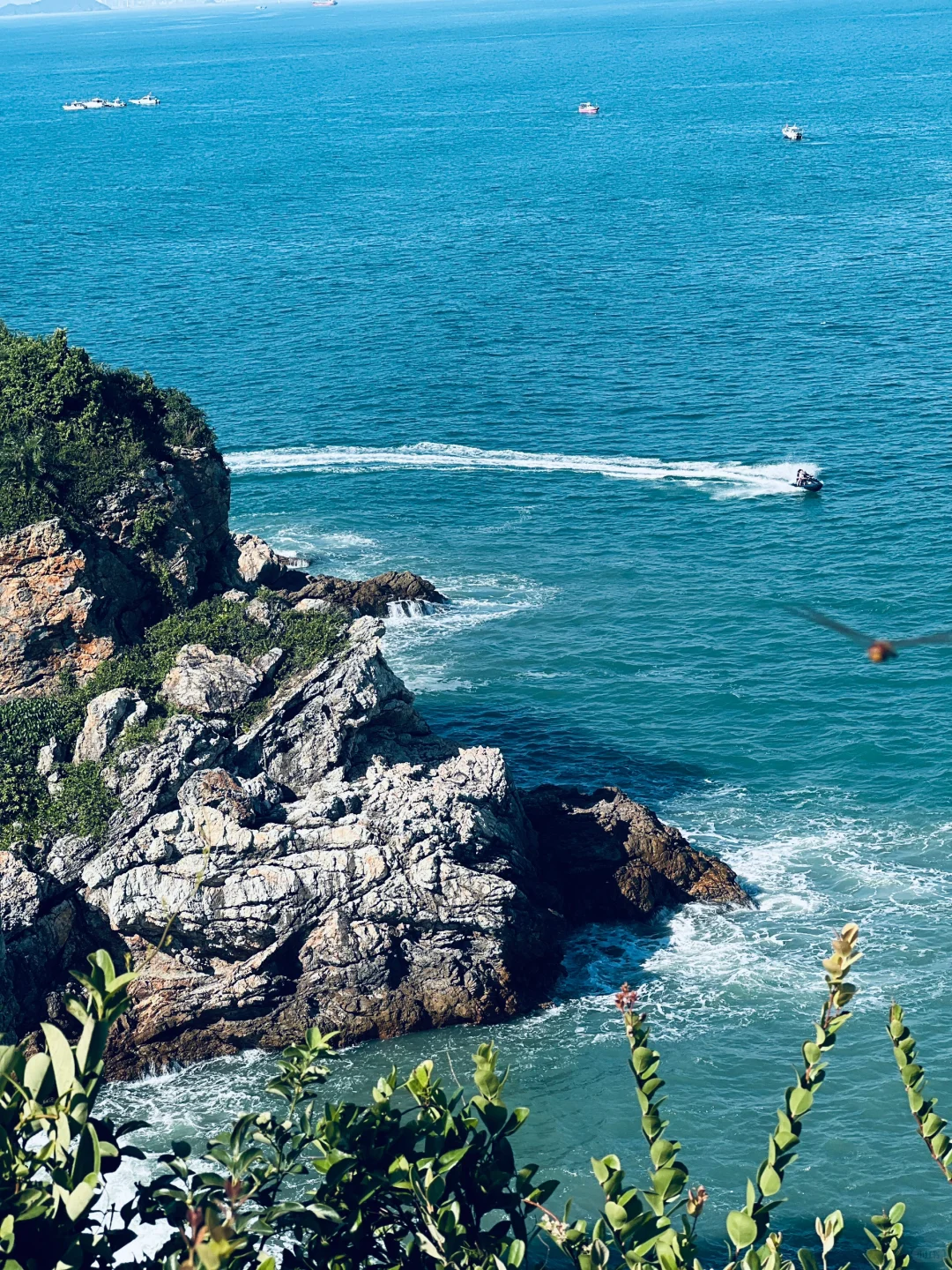📍桔钓沙-杨梅坑-鹿嘴山庄|一日游攻略