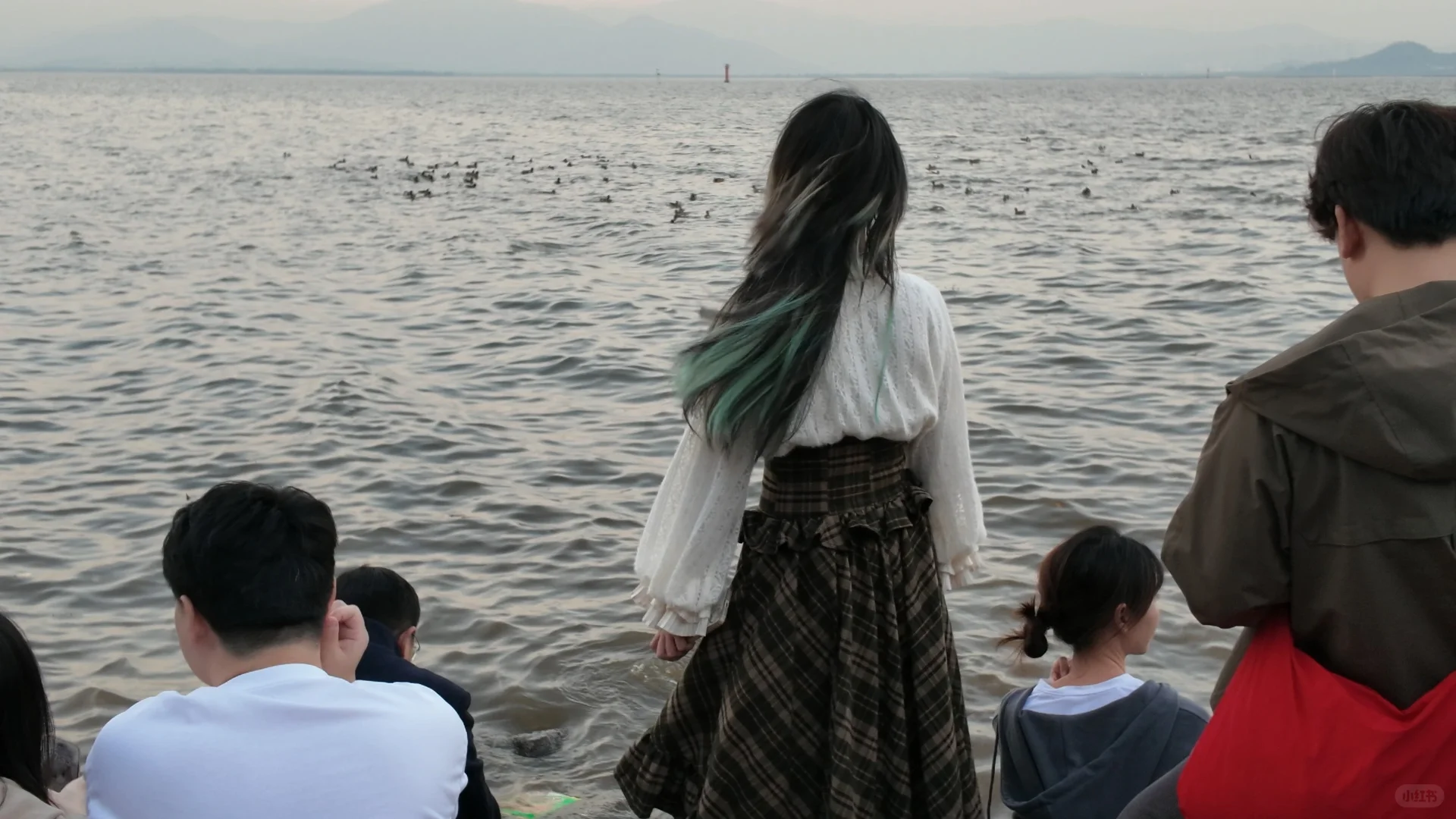 在深圳湾拍了一组神图！！！