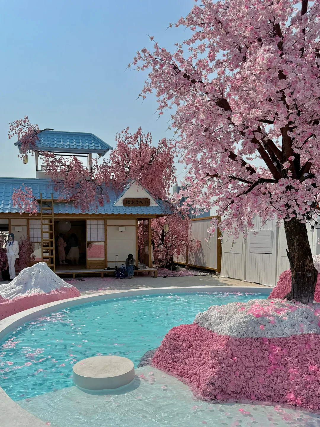 不在国外！！！！在深圳！！！！（live图）