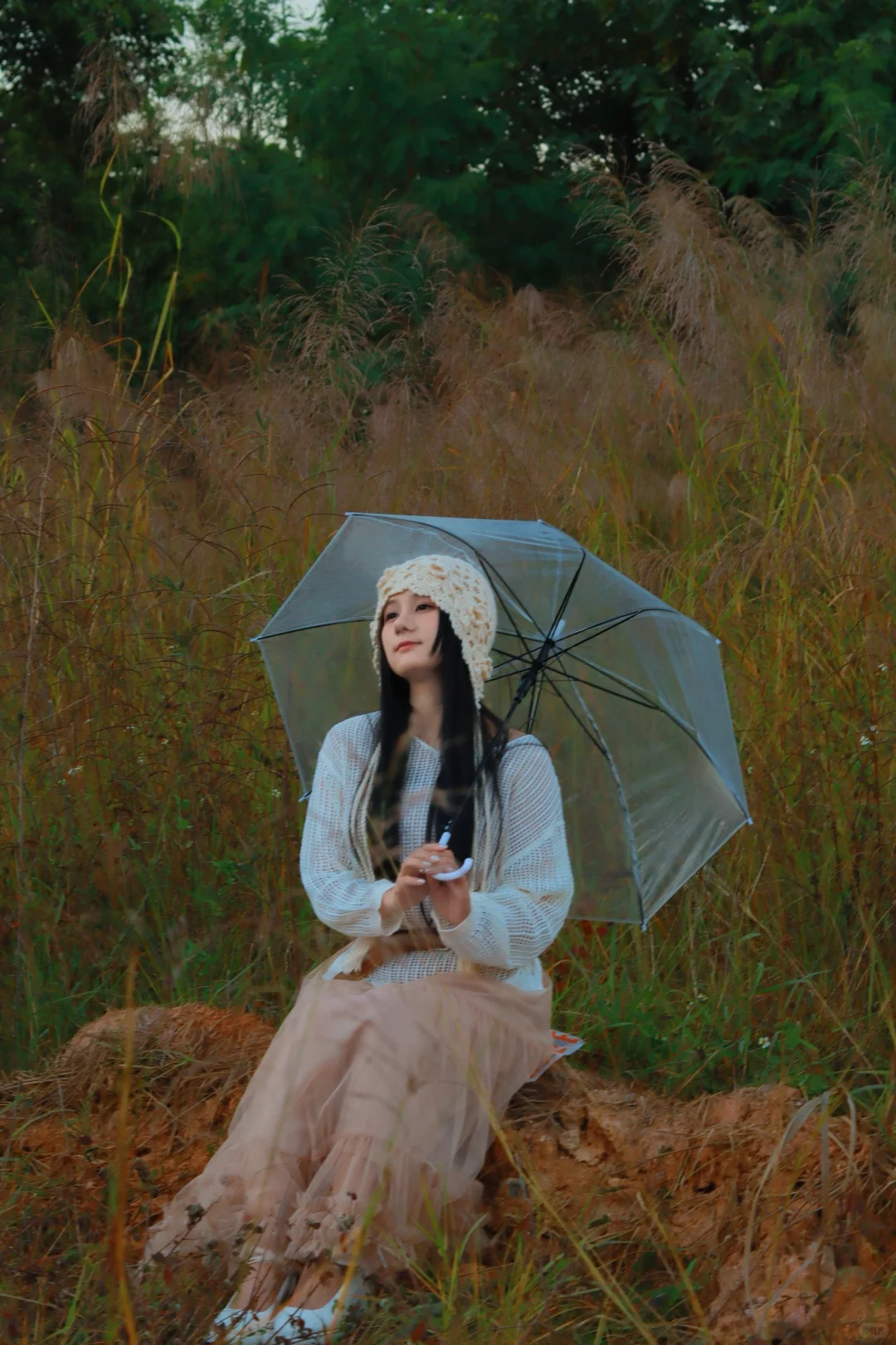 互勉3/20📷东莞南城也能拍芦苇大片啦