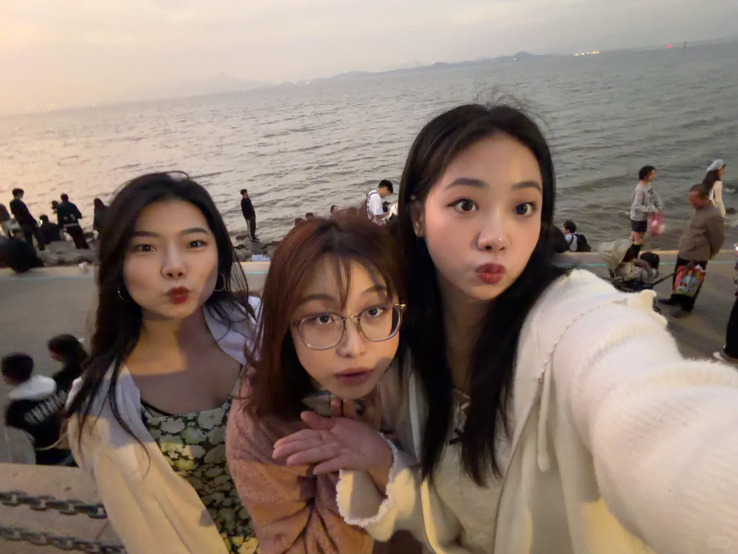 深圳湾真有你的