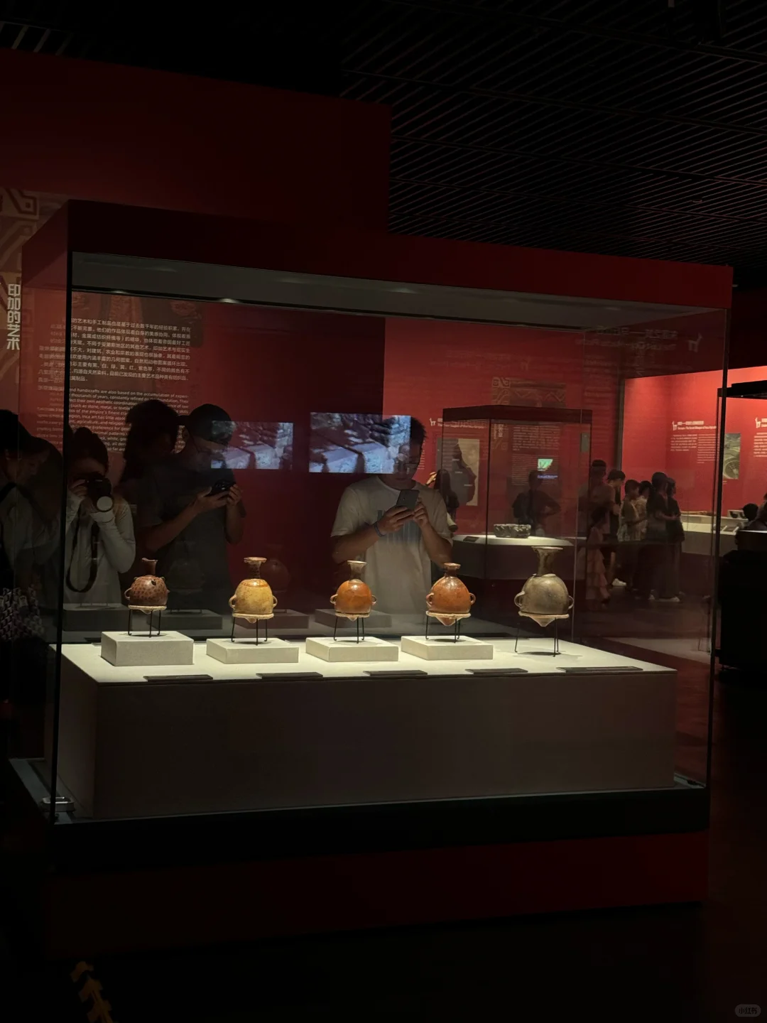 深圳很chill🌴喝咖啡逛公园