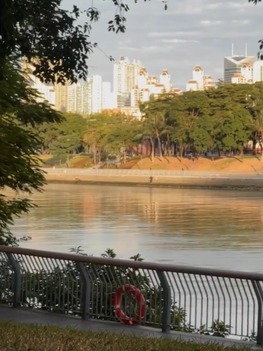 非遗+莞味！东莞文化漫游超全攻略