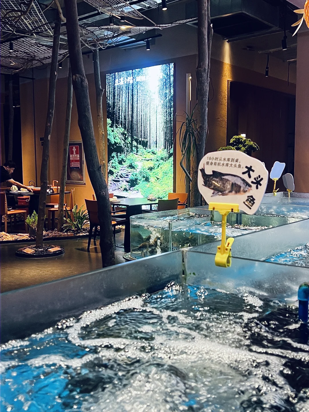 深圳这家宝藏湘菜馆🌶️经典百吃不腻！