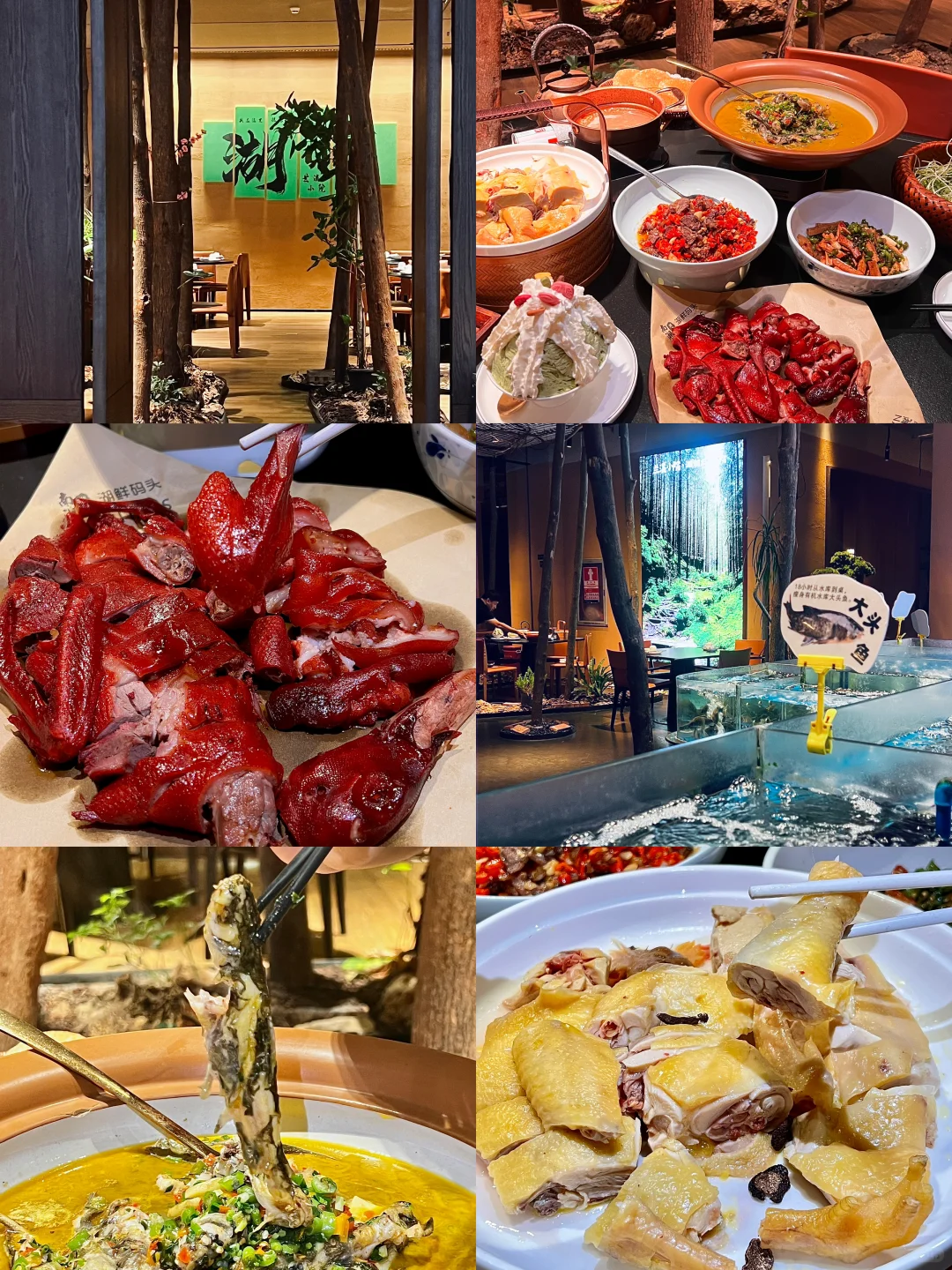 深圳这家宝藏湘菜馆🌶️经典百吃不腻！