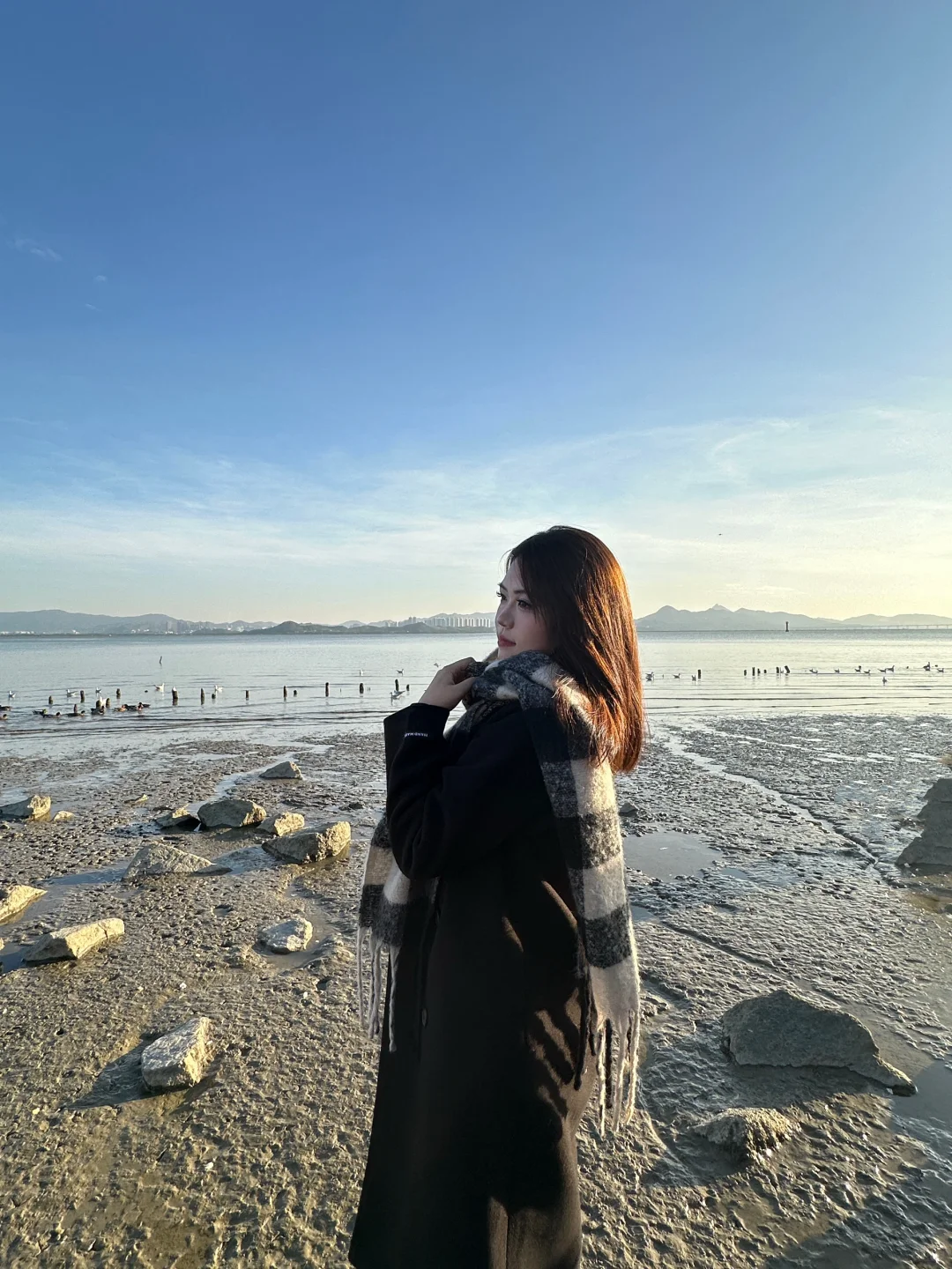 📍深圳湾公园 来看海鸥了