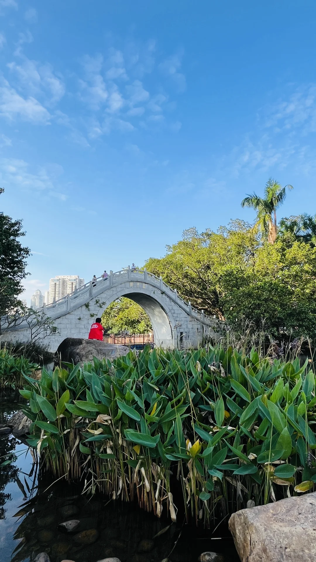 深圳福田荔枝公园游玩攻略