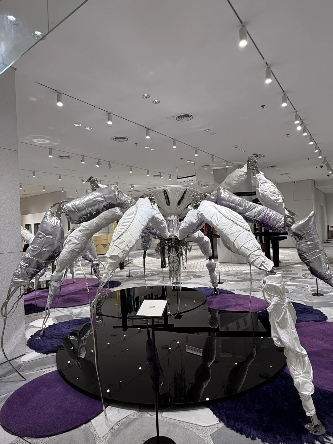 📍深圳巨人展，艺术与视觉的冲击