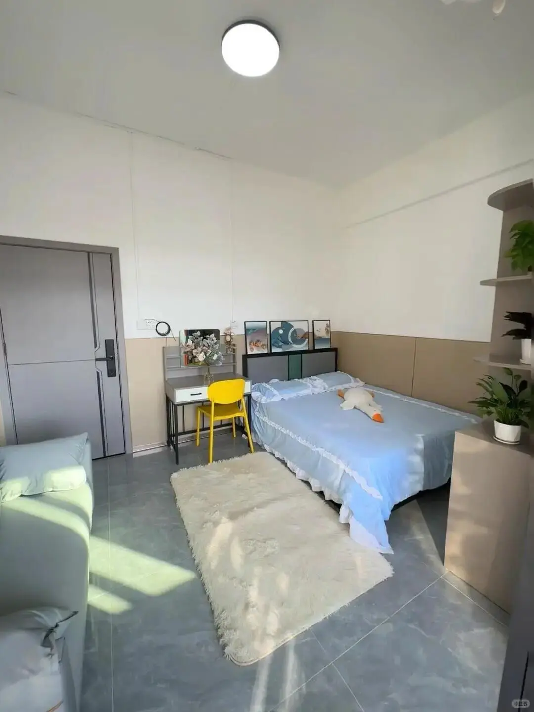 深圳租房 🏘️ 南联900 🏘️