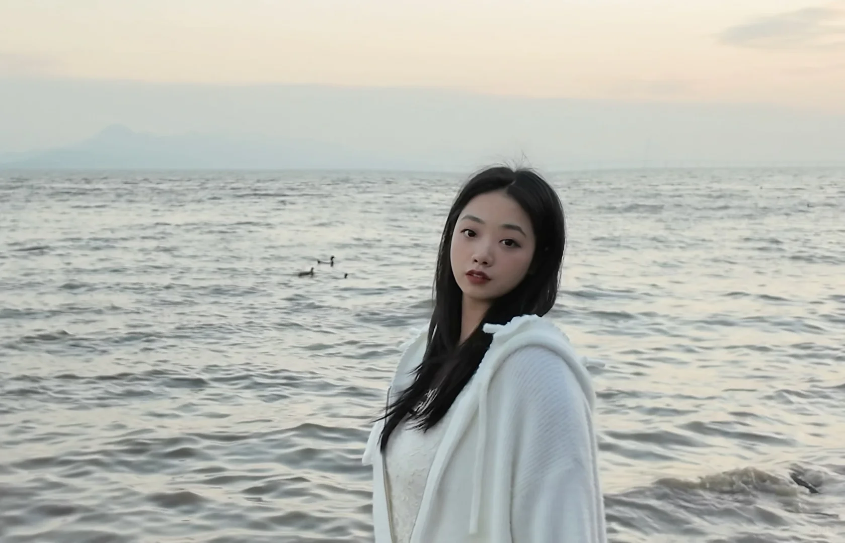 深圳湾真有你的