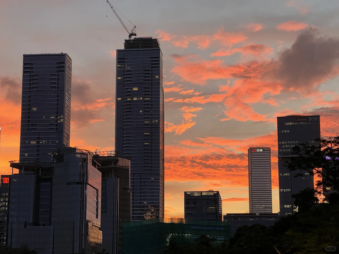 今日深圳湾火烧云🌇 评论区交换你拍的🥂