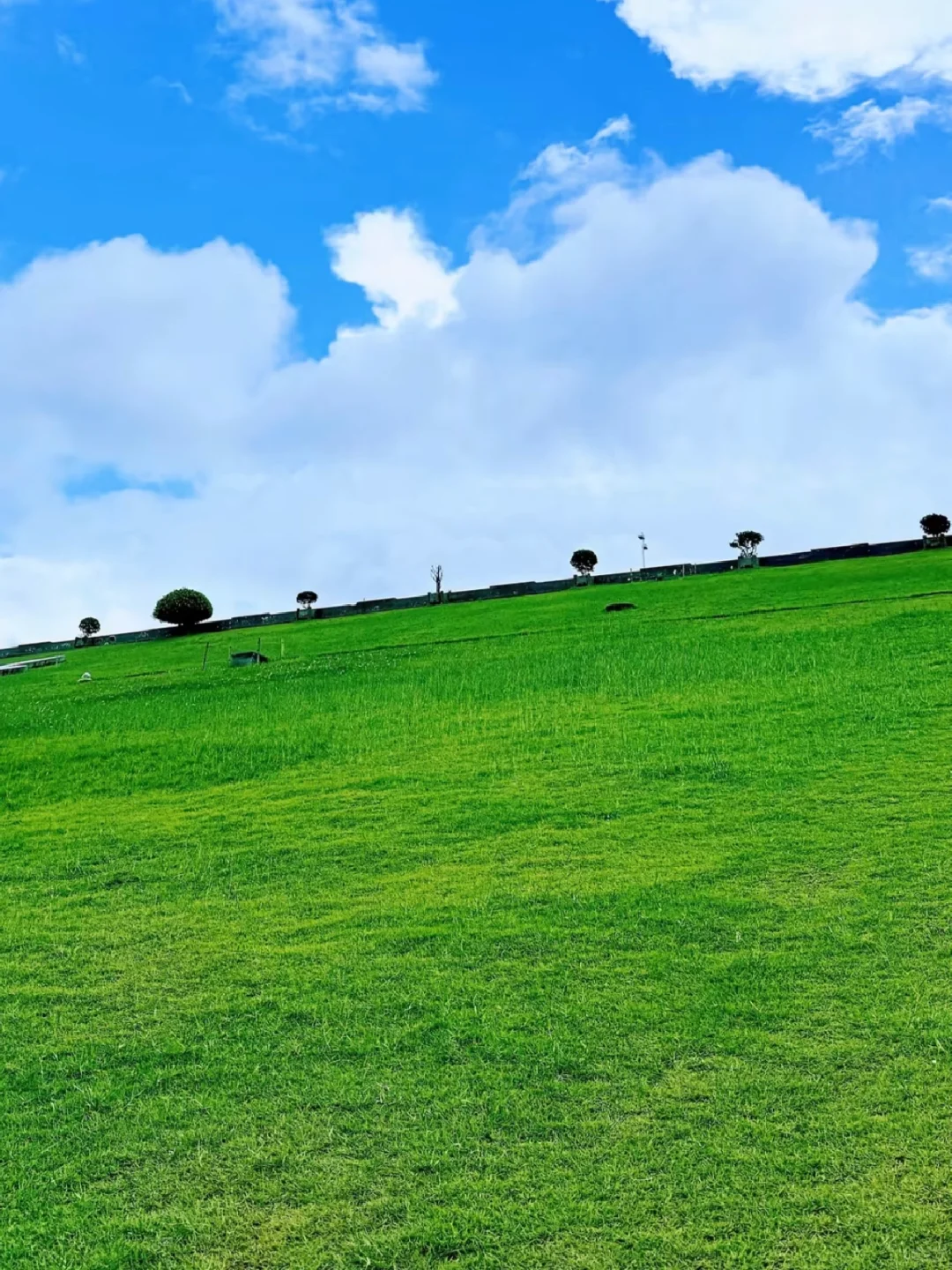 竟然没人宣传深圳这个公园！！