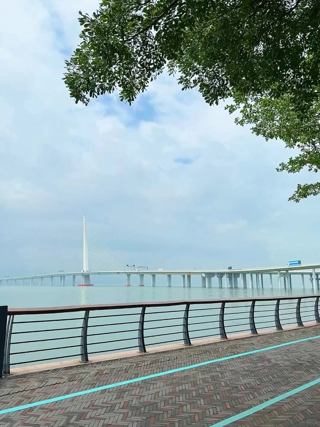 强烈推荐你去深圳湾公园沿海骑行‼️