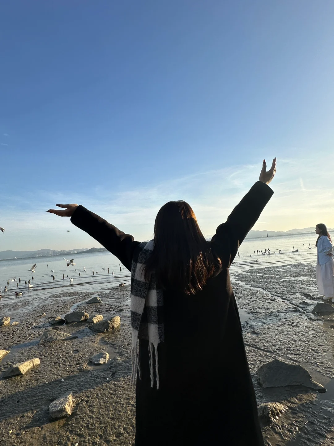 📍深圳湾公园 来看海鸥了