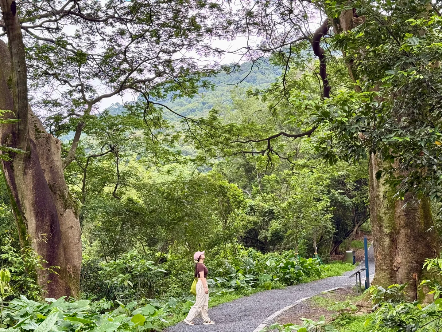 广州让我觉得反差感很大的城市
