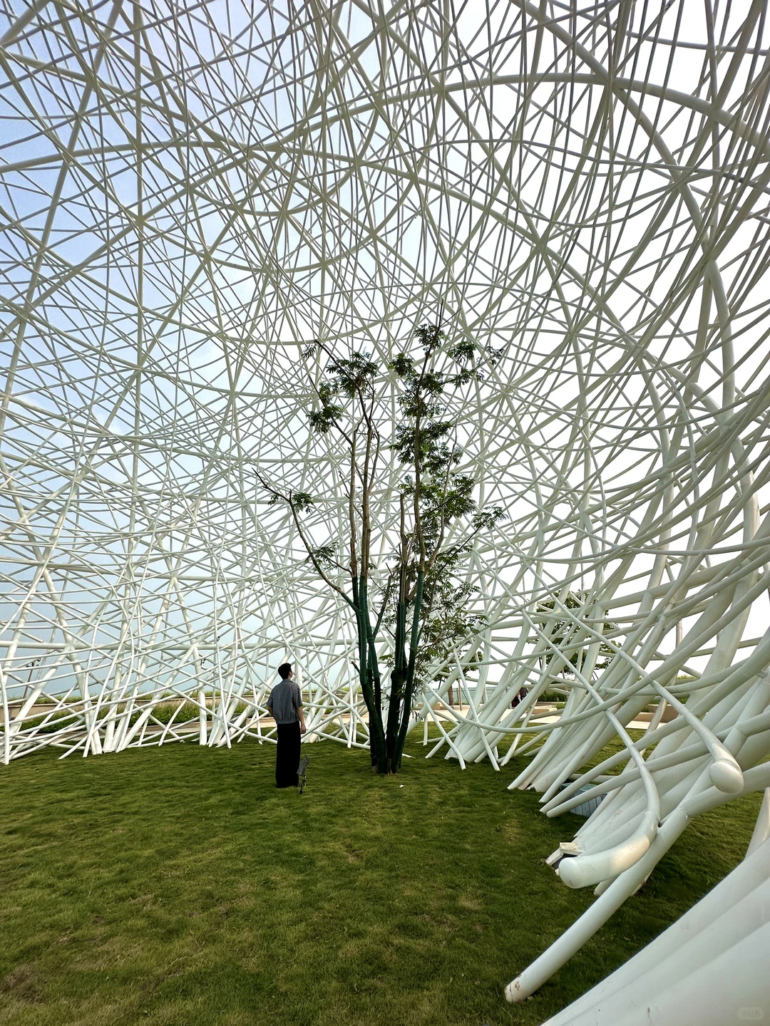 在深圳拍到的18张人生照片📸附地址！