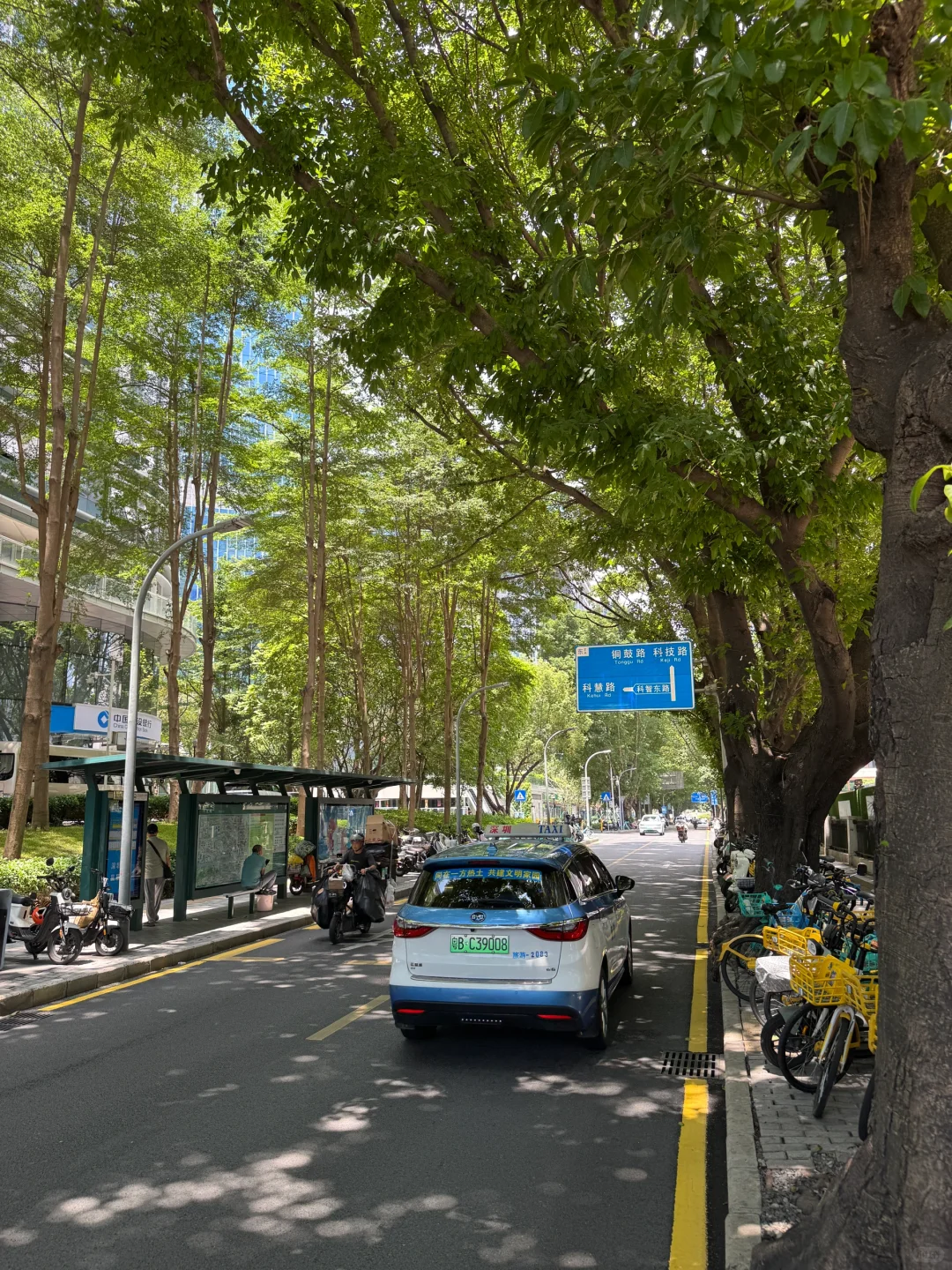 深圳城市质感——cherry picking版 👀