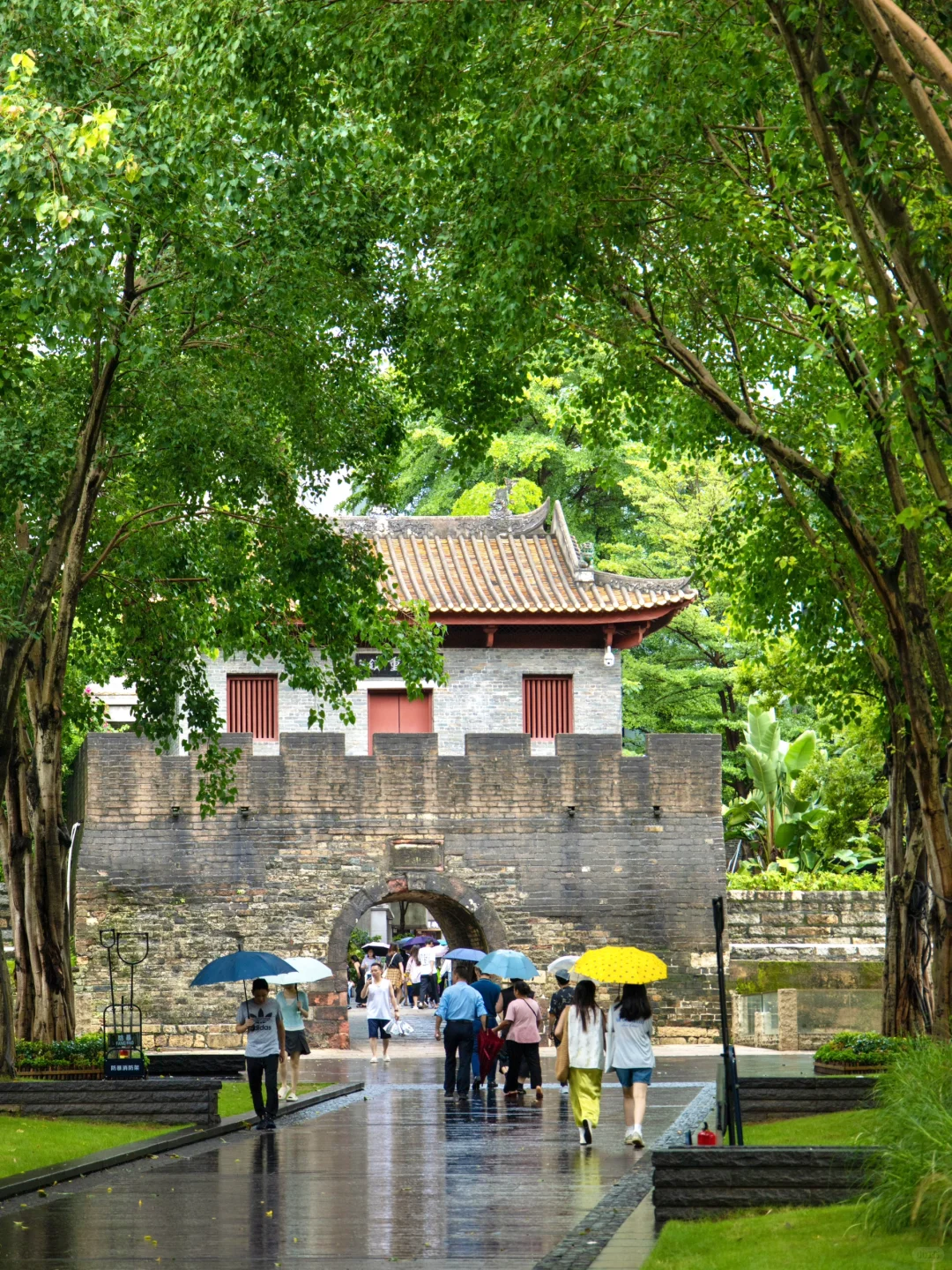 如果来深圳只能玩1天，直接复制这条路线‼️