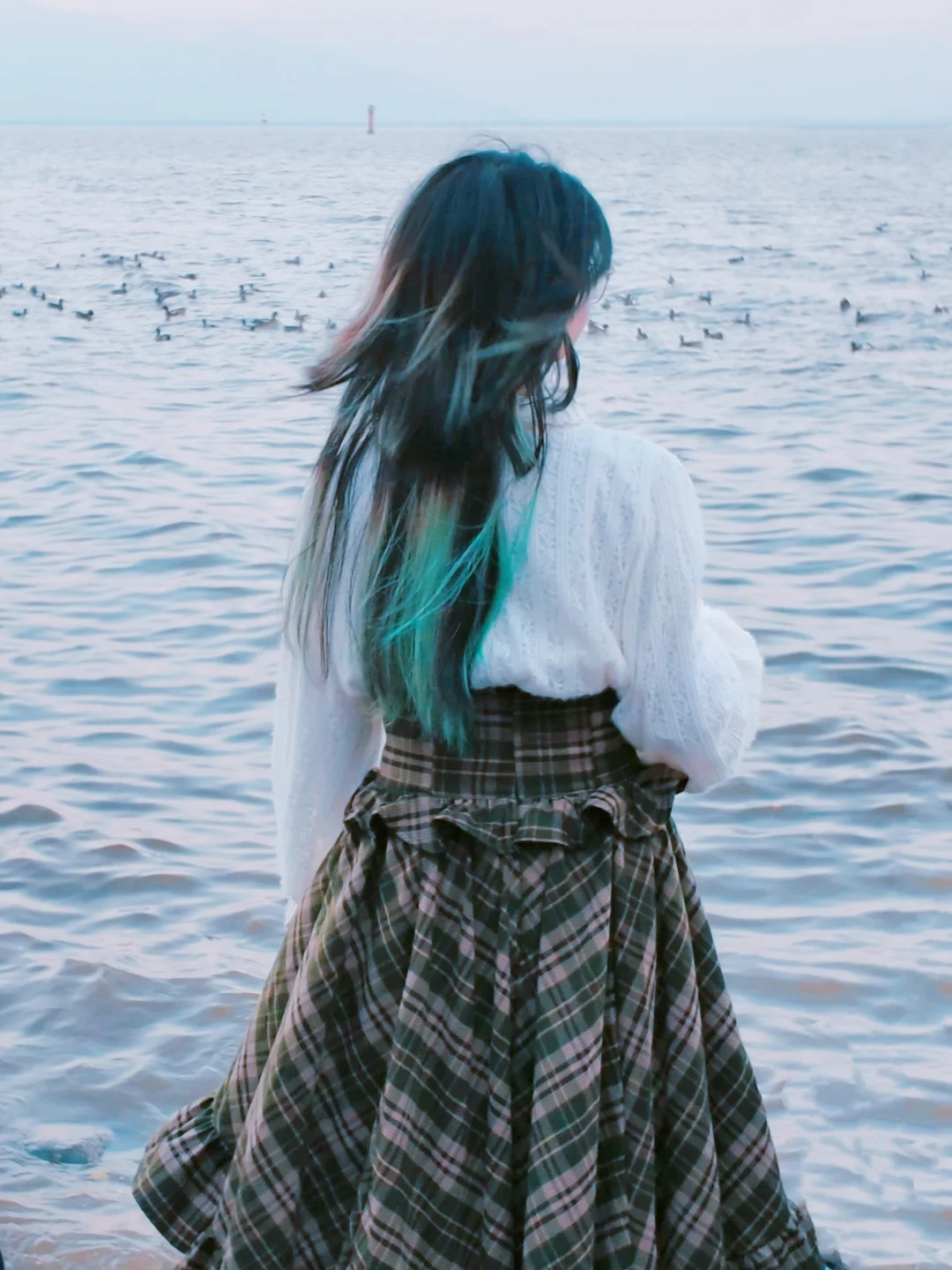 在深圳湾拍了一组神图！！！