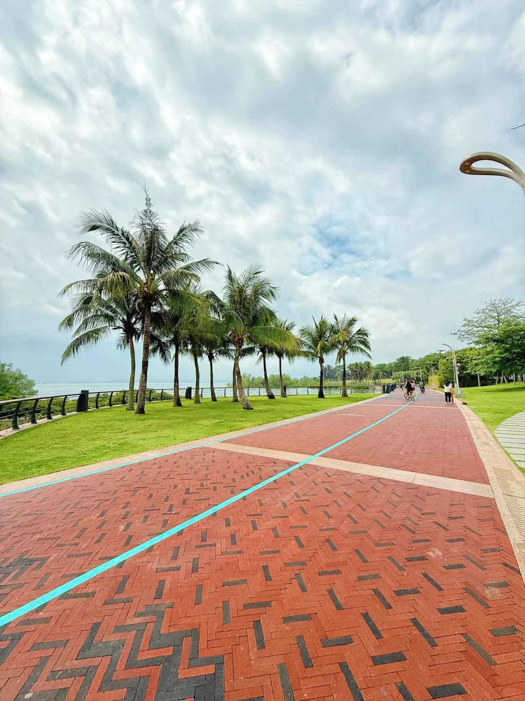 强烈推荐你去深圳湾公园沿海骑行‼️