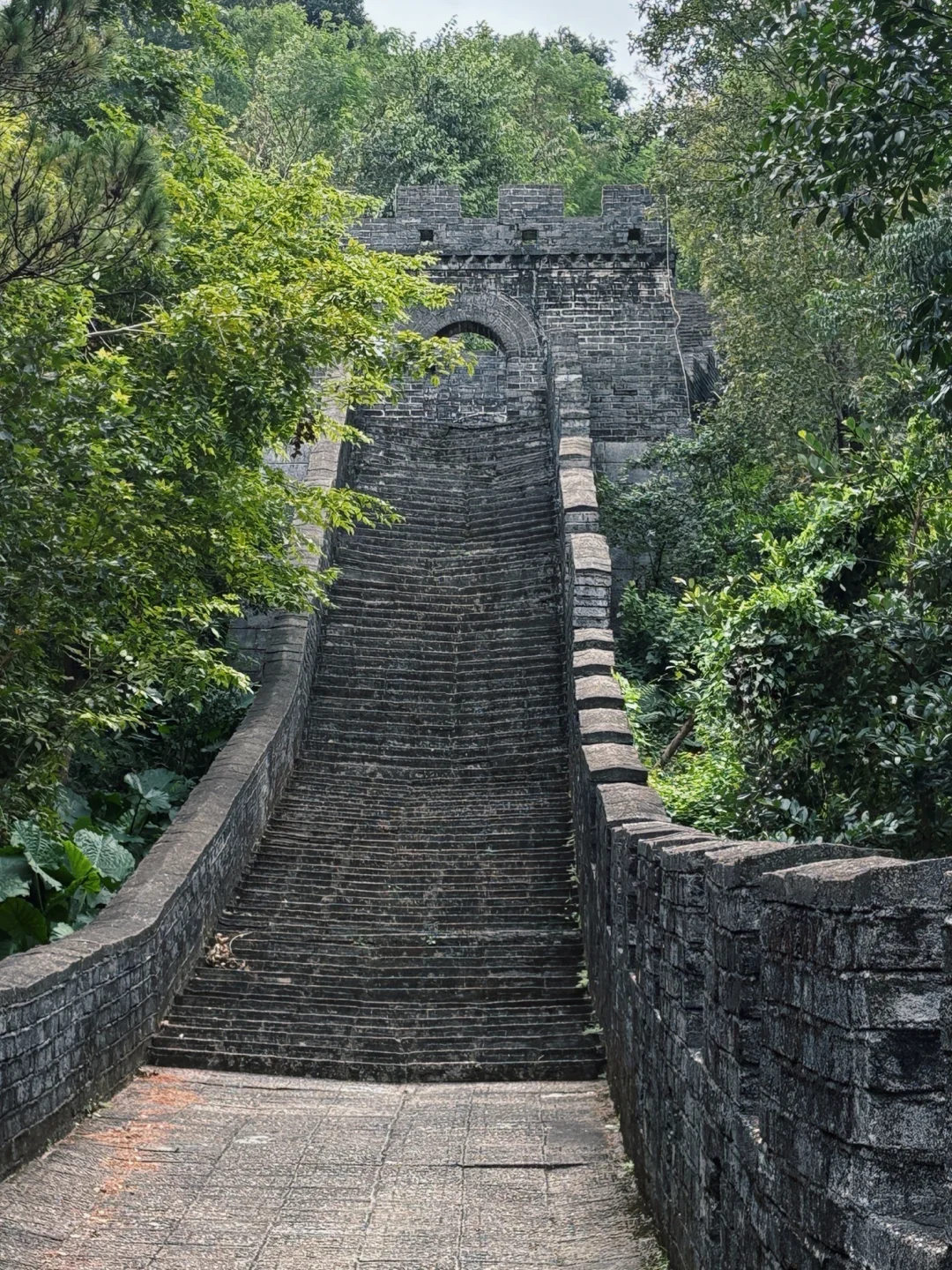 惊艳我了！龙岗这地方也太好拍了吧！！！