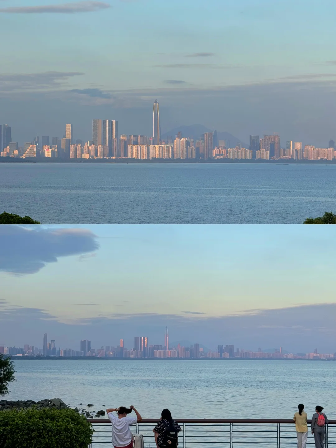 深圳很chill🌴喝咖啡逛公园