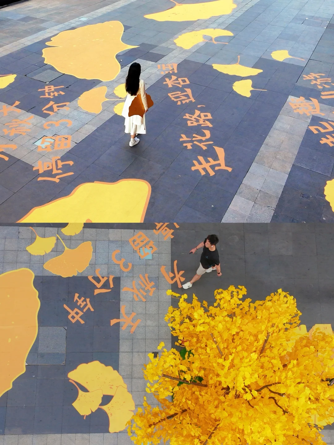 深圳5G入秋！谁说没有秋天？