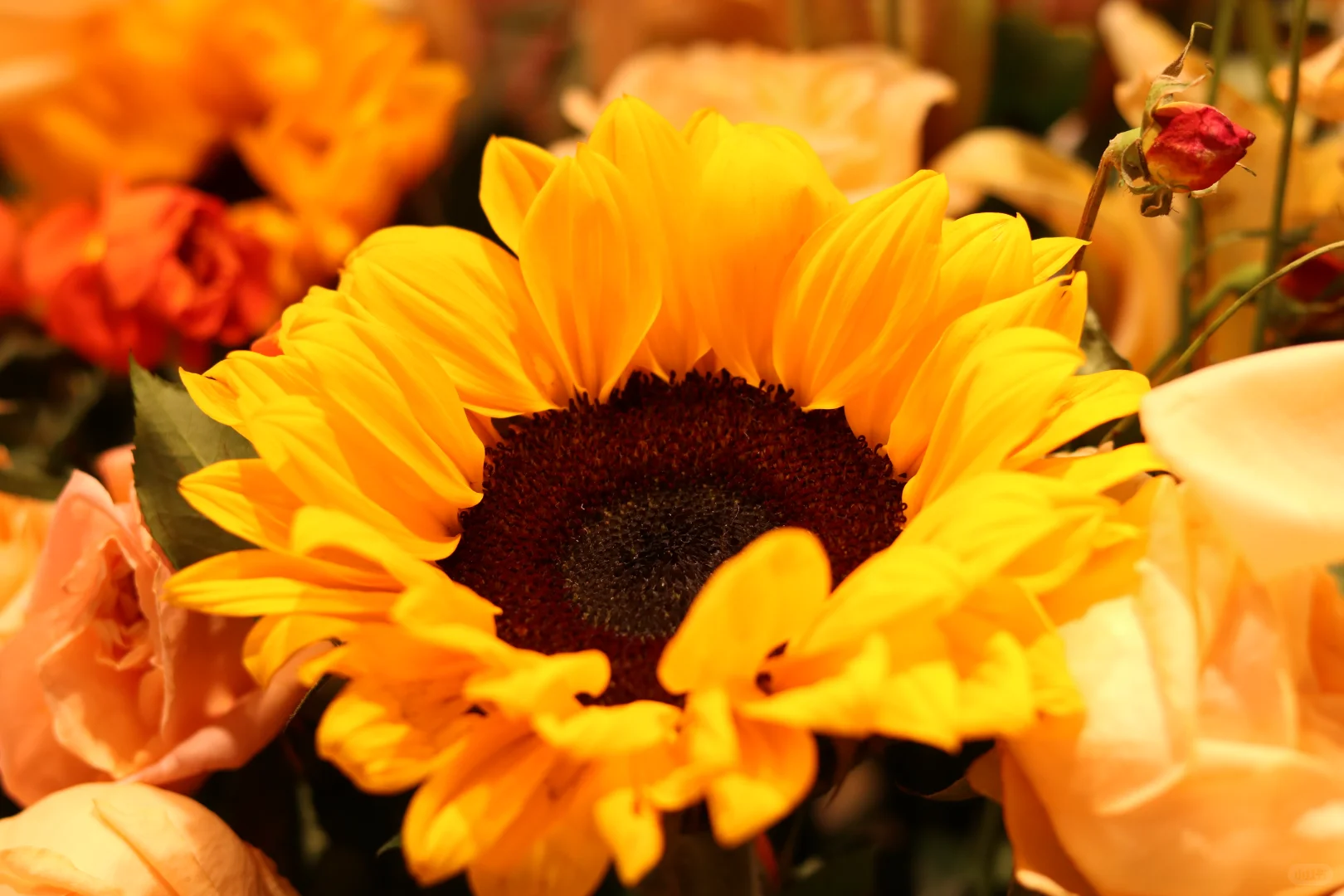 深圳市宝安区怀德万象汇3