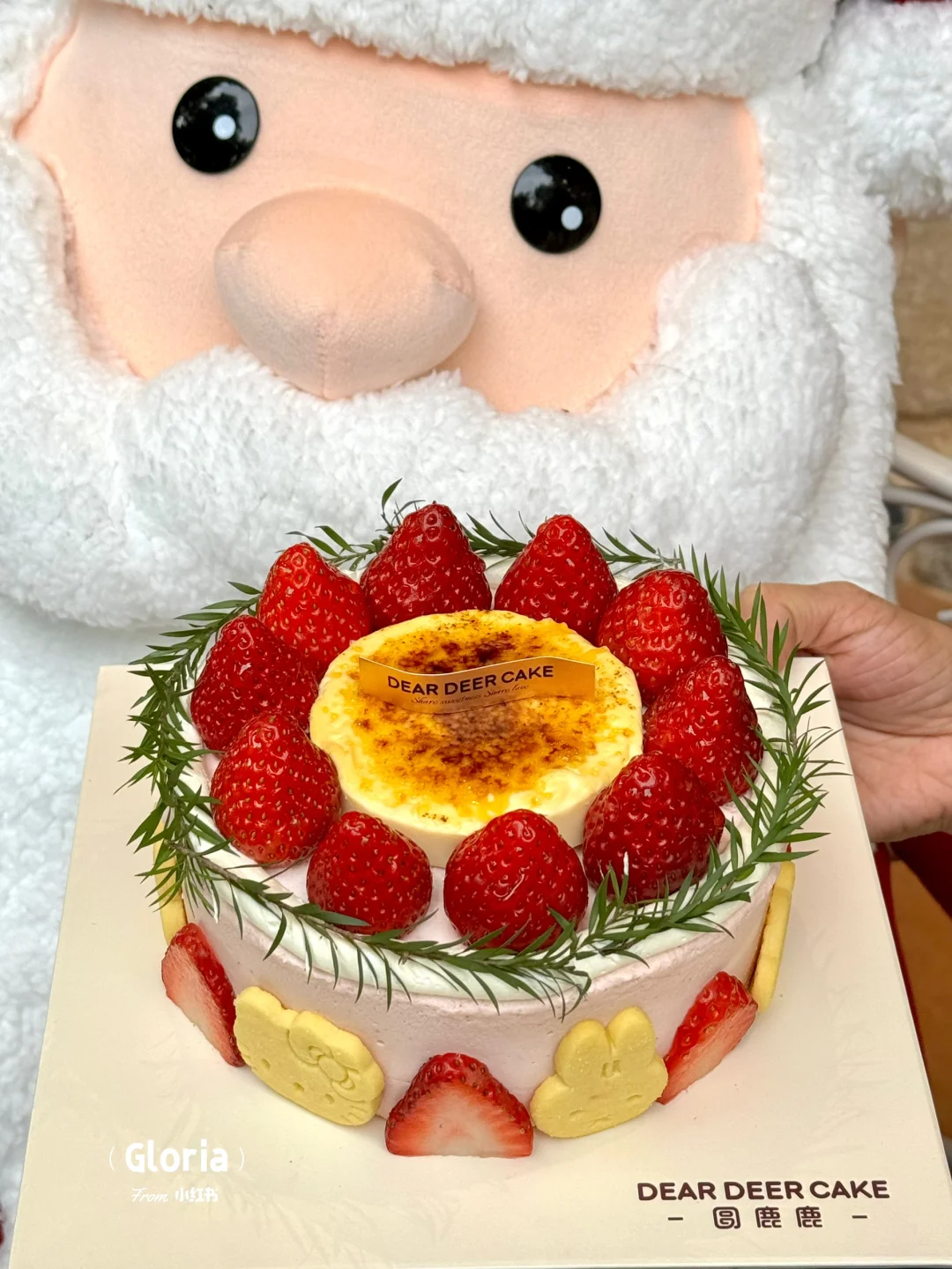 东莞！！拜见布蕾草莓蛋糕大王🍓🍓