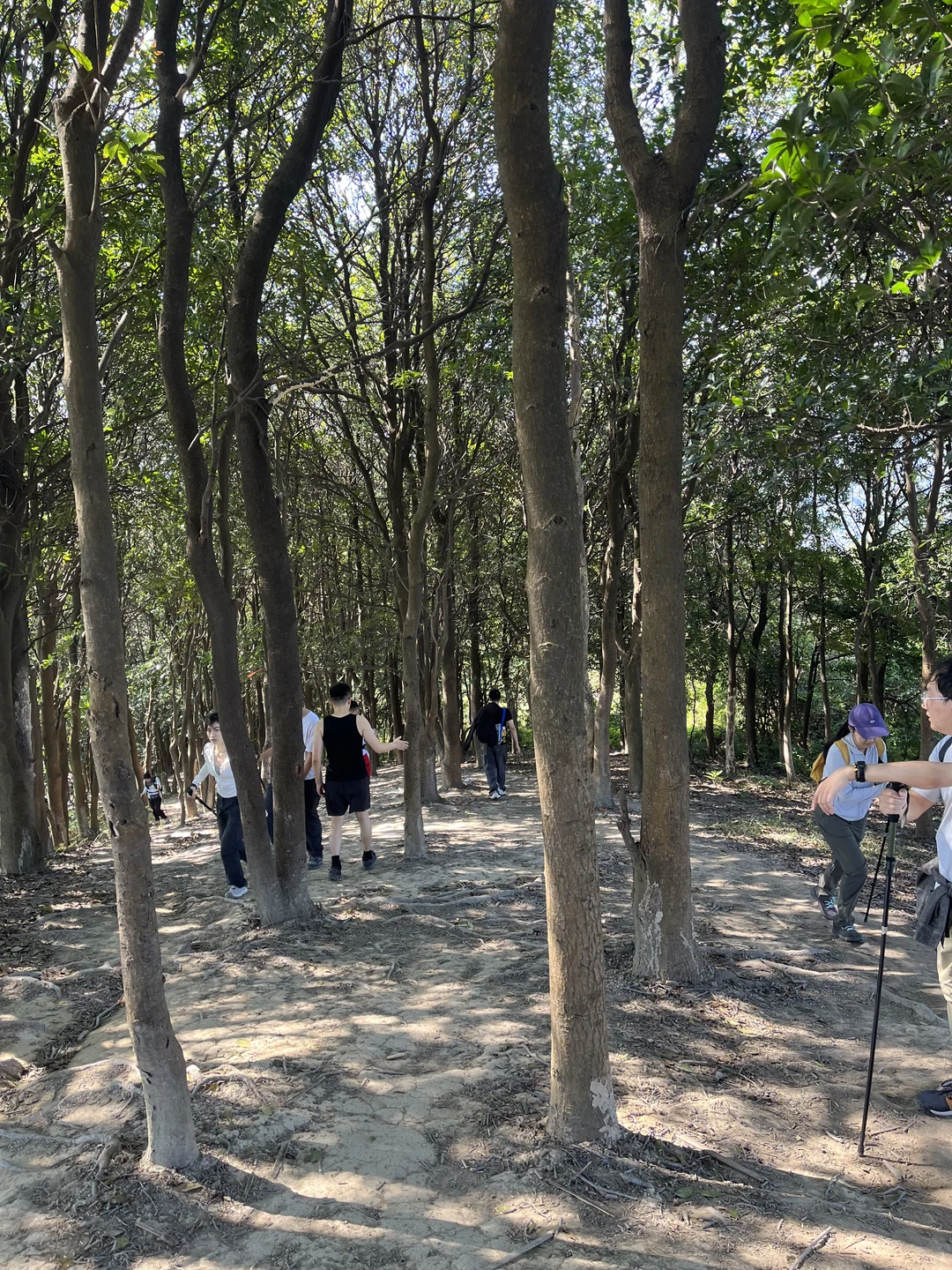 广州市区的“布罗莫”徒步！新手友好！