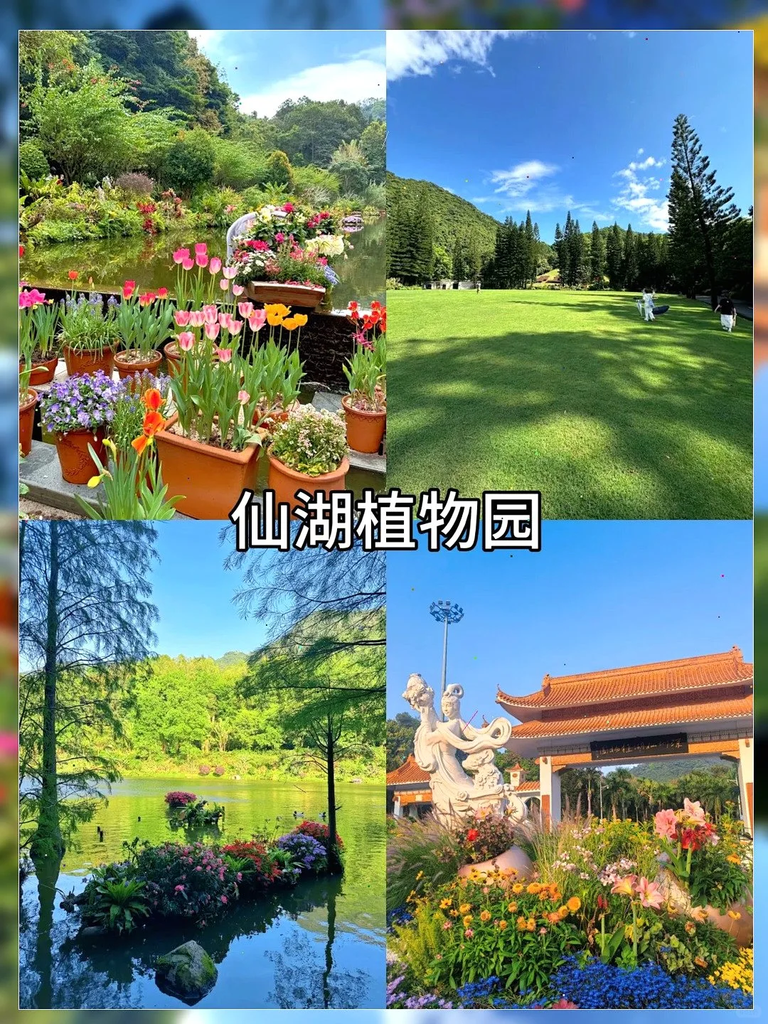😎地铁直达！深圳12个宝藏游玩地😜