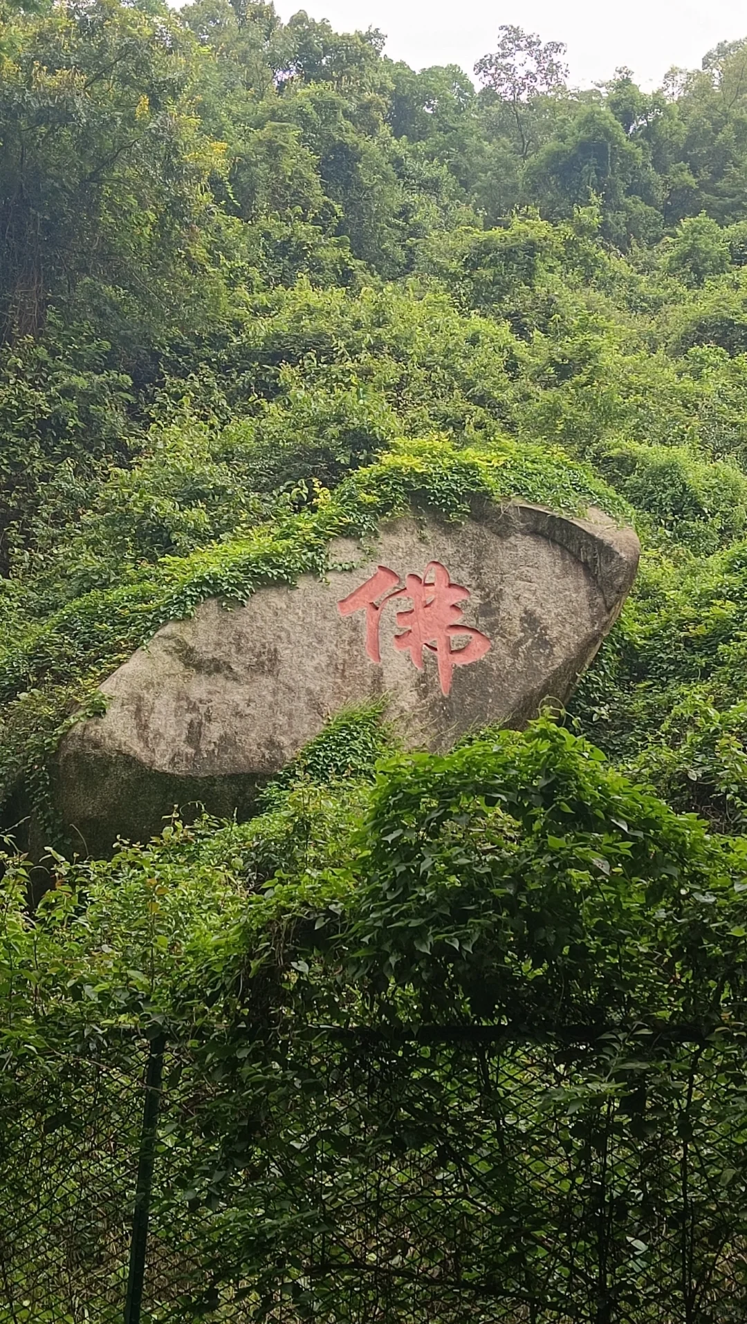 深圳凤凰山.缘