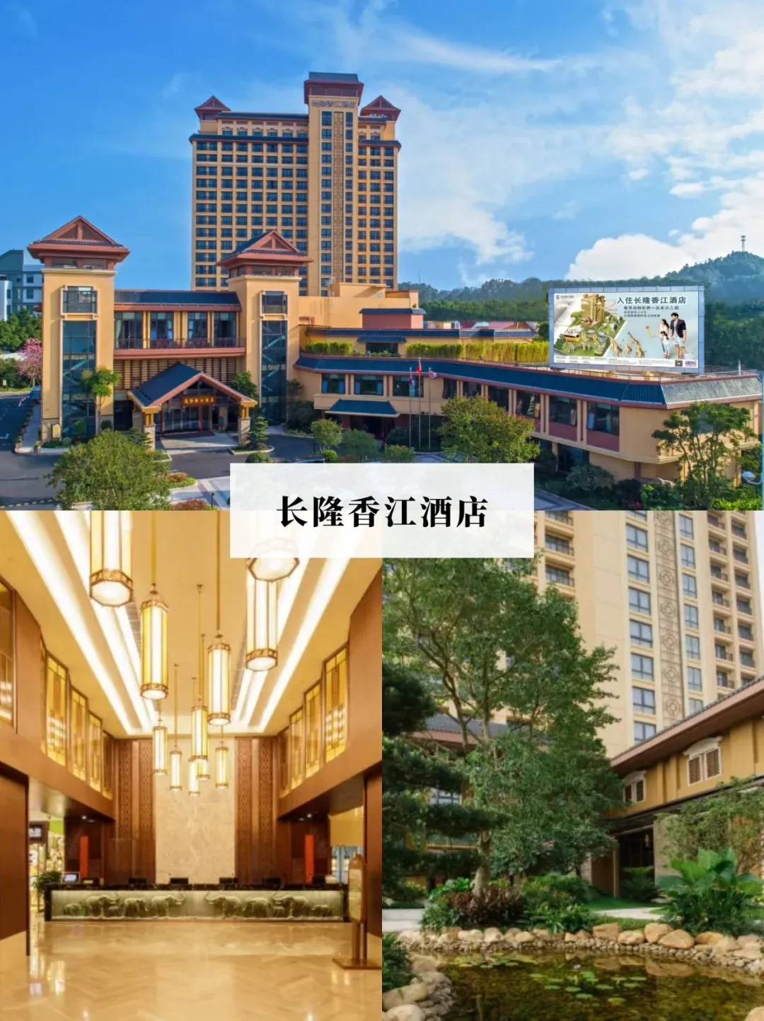 第一次去广州长隆必看！三大乐园怎么玩🦒