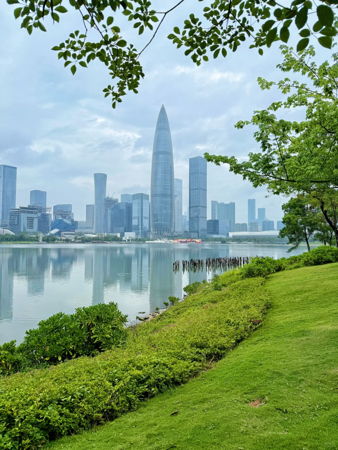 强烈推荐你去深圳湾公园沿海骑行‼️