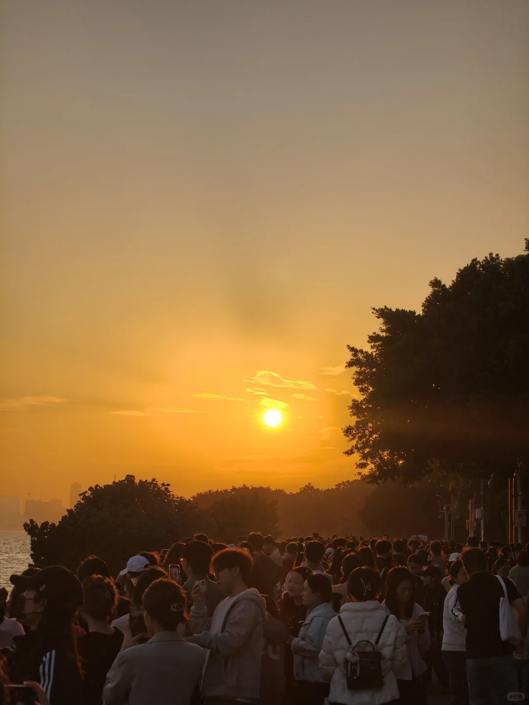 深圳湾公园挤满了仿佛没看过日落的人类