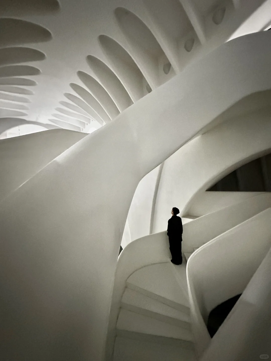 为了这18张图📸我来了趟深圳！！附地址