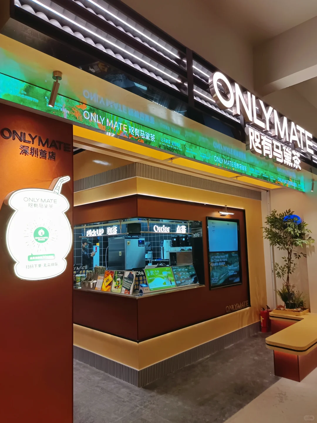 深圳惊现南美“众神之饮”！🇧🇷马黛茶